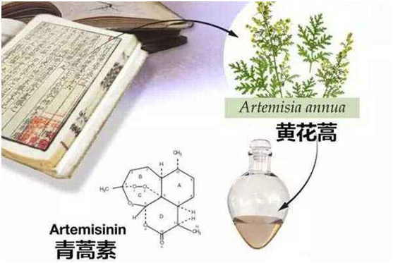 安博体育（中国）股份有限公司,官网：向中医药看齐，与世界共享中医药文化(图1)